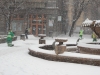 zapada-centru-timisoara-3-februarie-10