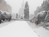 zapada-centru-timisoara-3-februarie-13