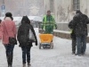 zapada-centru-timisoara-3-februarie-15