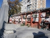 cimitir-13