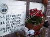 cimitir-8
