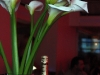 eve-fashion-lounge81