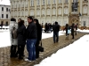 falshmob-timisoara-eutanasiere-caini-1