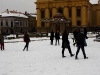 falshmob-timisoara-eutanasiere-caini-10