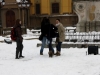 falshmob-timisoara-eutanasiere-caini-12
