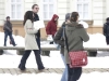 falshmob-timisoara-eutanasiere-caini-14
