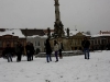 falshmob-timisoara-eutanasiere-caini-15