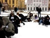 falshmob-timisoara-eutanasiere-caini-39