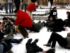 falshmob-timisoara-eutanasiere-caini-40