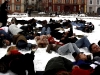 falshmob-timisoara-eutanasiere-caini-41