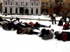 falshmob-timisoara-eutanasiere-caini-45
