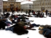 falshmob-timisoara-eutanasiere-caini-48