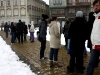 falshmob-timisoara-eutanasiere-caini-5