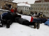falshmob-timisoara-eutanasiere-caini-51