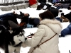 falshmob-timisoara-eutanasiere-caini-54