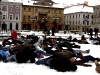 falshmob-timisoara-eutanasiere-caini-60