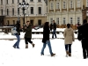 falshmob-timisoara-eutanasiere-caini-7