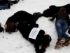 falshmob-timisoara-eutanasiere-caini-77