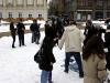 falshmob-timisoara-eutanasiere-caini-83