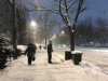 iarna-timisoara-facebook-11