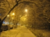 iarna-timisoara-facebook-5