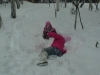 iarna-timisoara-facebook-6
