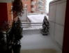 iarna-timisoara-facebook-8