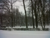 iarna-timisoara-facebook-9