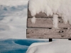 ninsoare-facebook-februarie-1
