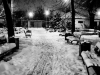 ninsoare-facebook-februarie-10