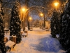 ninsoare-facebook-februarie-12