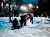 ninsoare-facebook-februarie-15