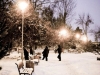 ninsoare-facebook-februarie-5