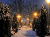 ninsoare-facebook-februarie-8