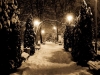 ninsoare-facebook-februarie-9