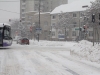 timisoara-blocata-in-zapada-14