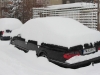 zapada-in-timisoara-4-februarie-11