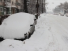zapada-in-timisoara-4-februarie-13