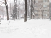 zapada-in-timisoara-4-februarie-2