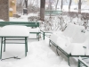 zapada-in-timisoara-4-februarie-3