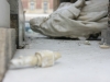 statuie-piata-maria-vandalizata-10