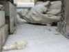 statuie-piata-maria-vandalizata-12