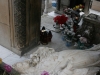 statuie-piata-maria-vandalizata-8