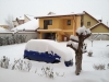 timisoara-inzapezita-4-februarie-2
