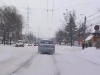 timisoara-inzapezita-4-februarie-9