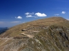 transalpina