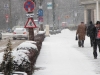 zapada-timisoara-3-februarie-14