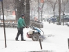 zapada-timisoara-3-februarie-3