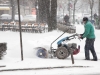 zapada-timisoara-3-februarie-5