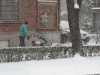 zapada-timisoara-3-februarie
